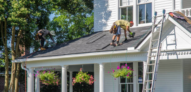 Best Roof Ventilation Installation  in Trowbridge Park, MI